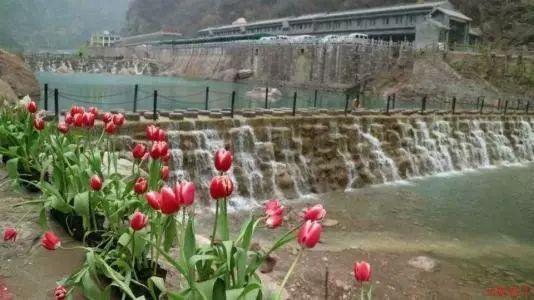 运动流汗特别多,怎样才能「有效补水」?-专业社区分享平台
