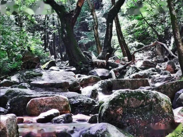 侠客风云传OL