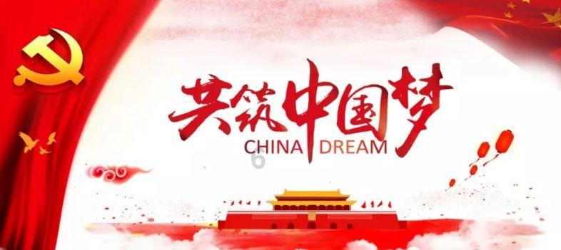 救援呆萌的猫