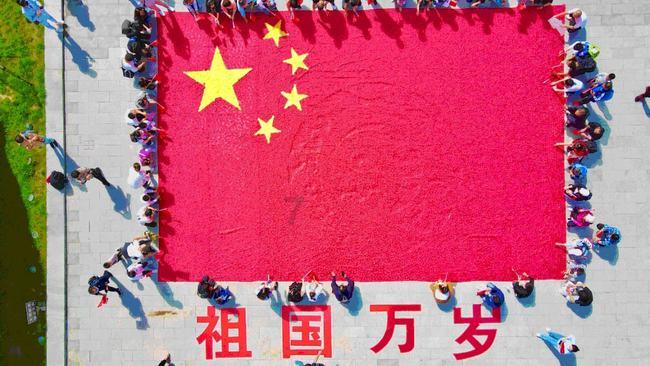 金币放置