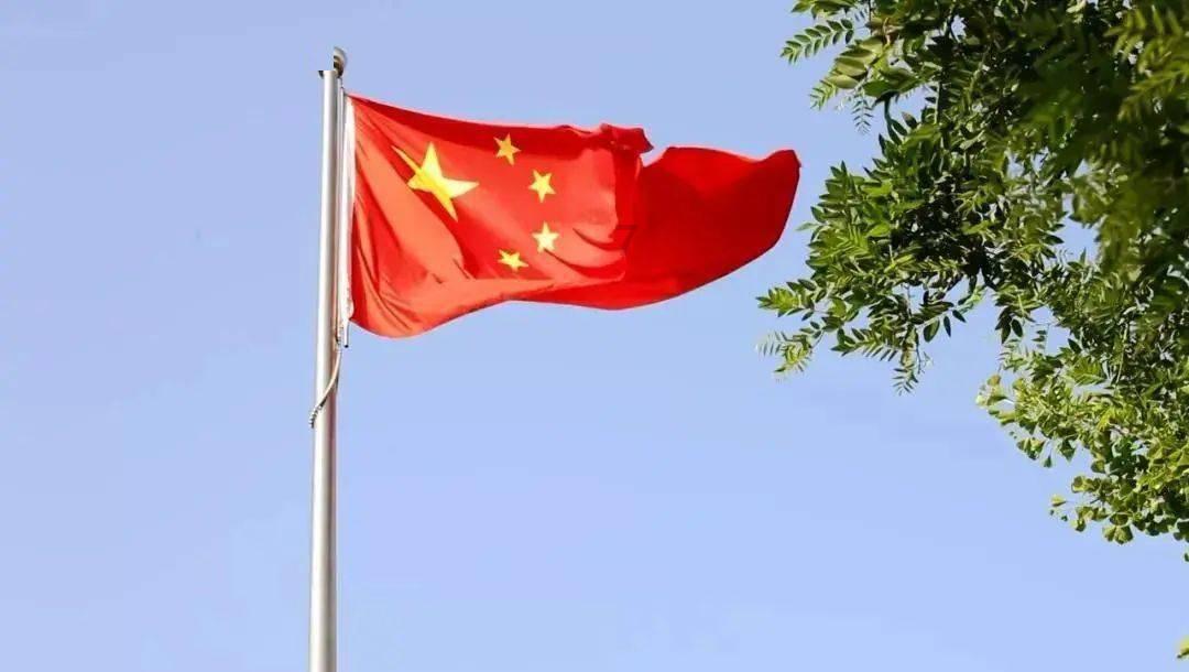 爱吃叶子的毛毛虫