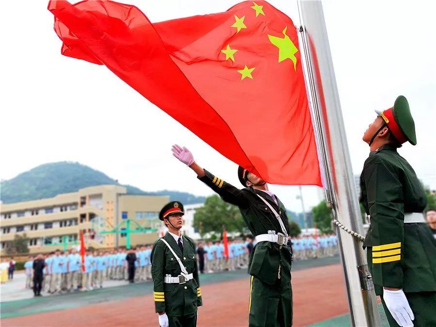 森系丛林