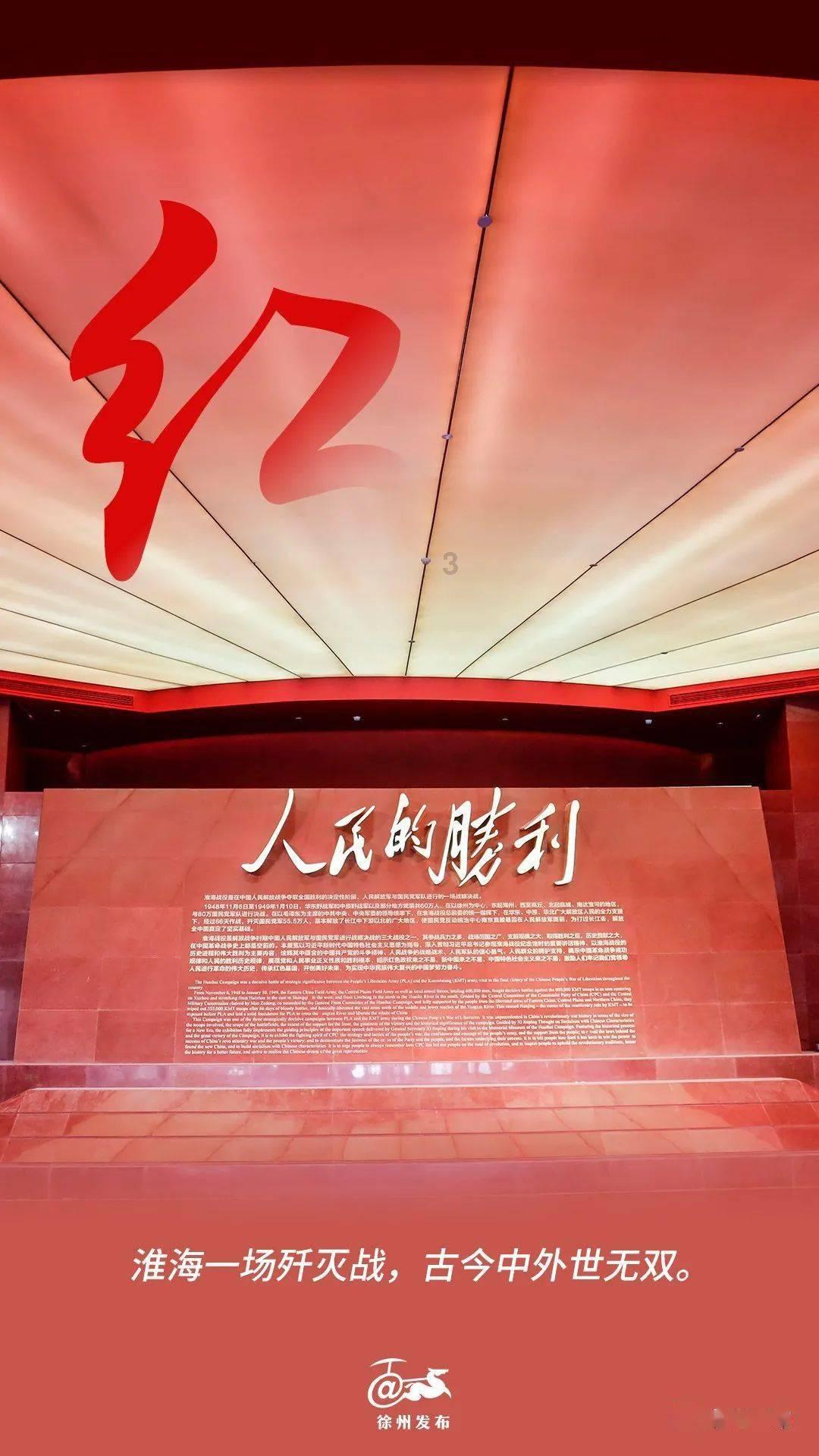 国内允许买什么鹦鹉？游戏画面