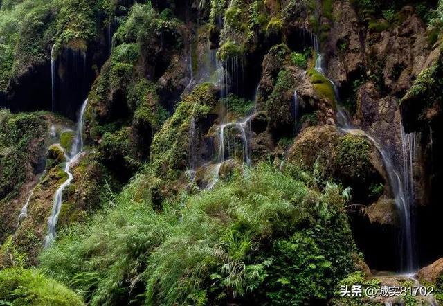 拯救可爱小浣熊