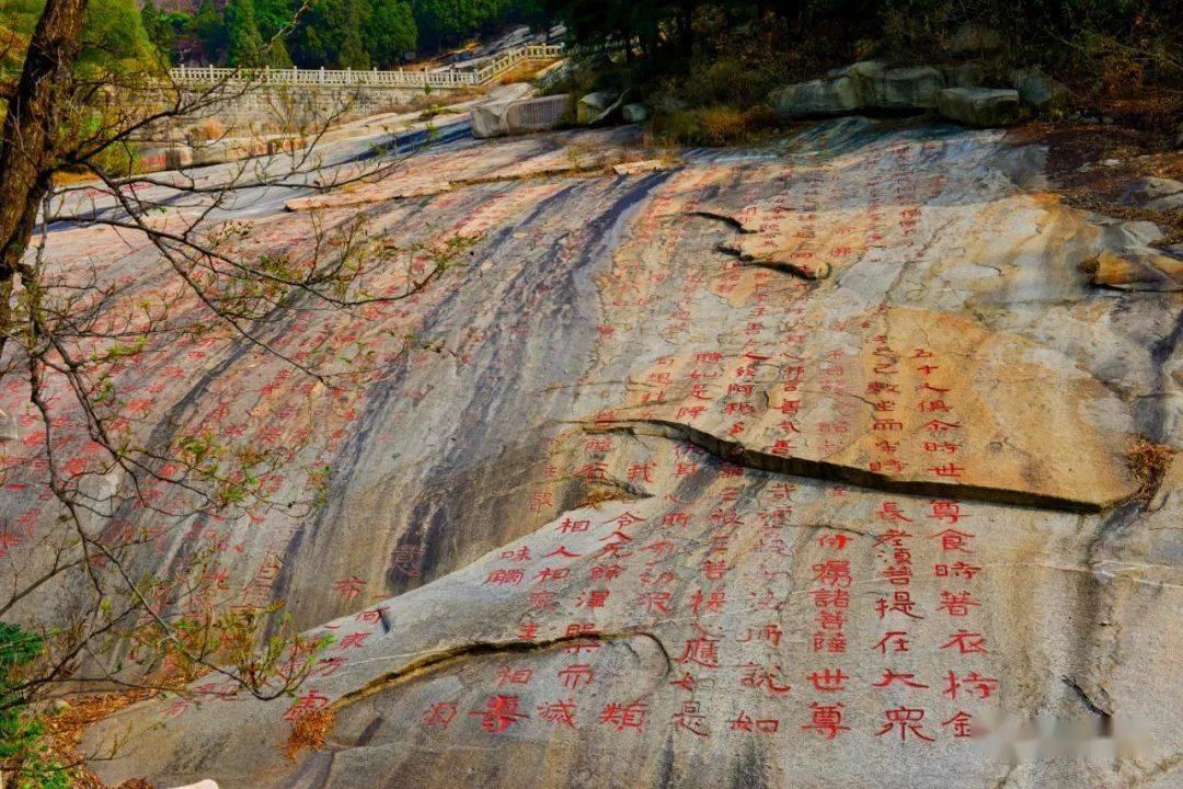 逃离春雨下的房子