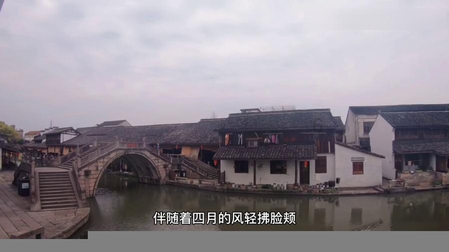 逃离未知丛林2
