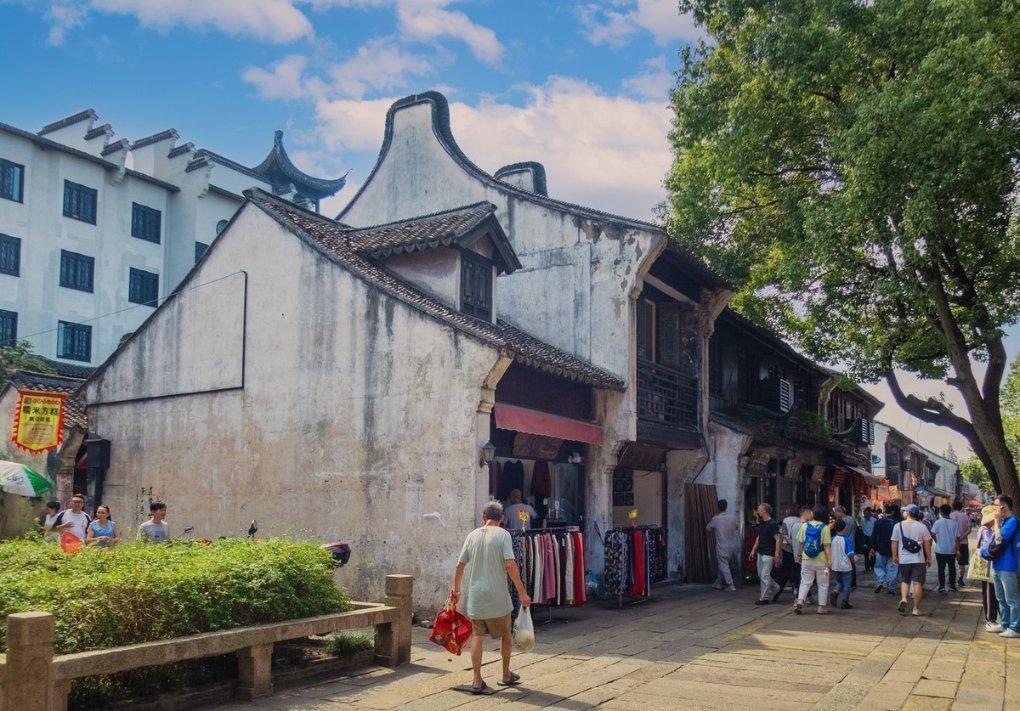 动物帮帮忙保卫家园