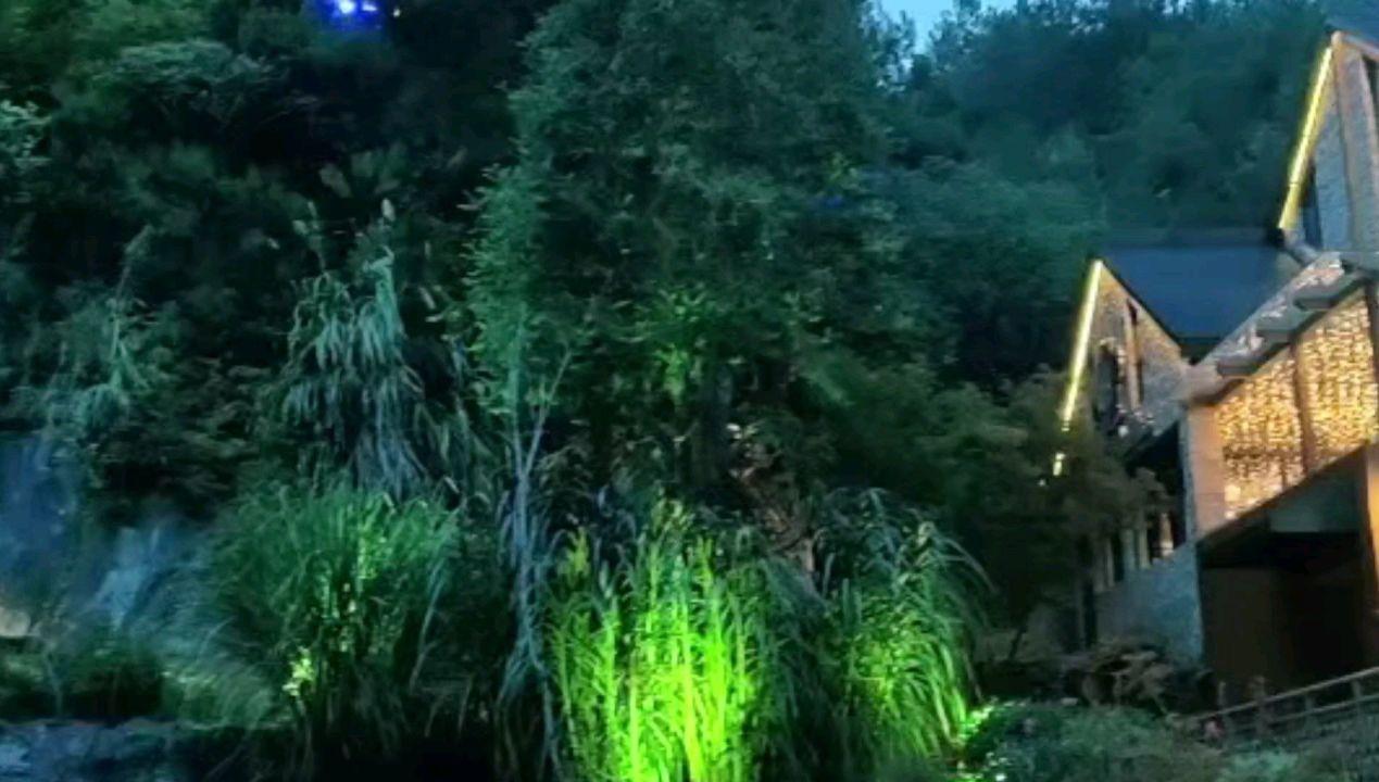 阴阳师